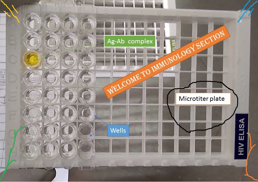 Microtitre plate