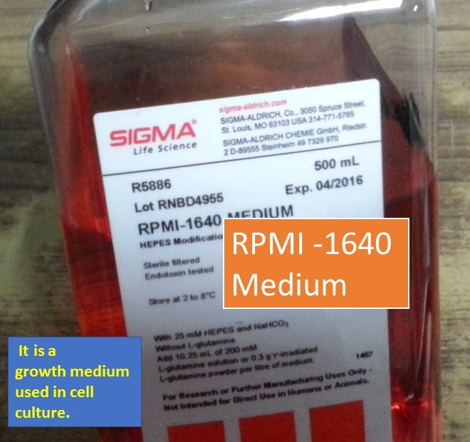 RPMI-1640 medium and its use