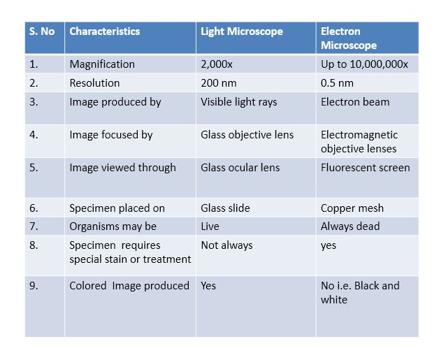 how is a light microscope similar to an electron microscope