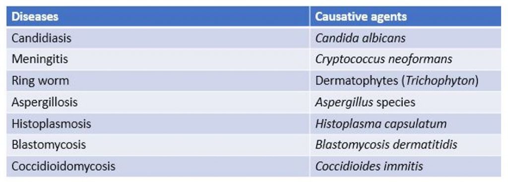 Some fungal diseases and their causative agents