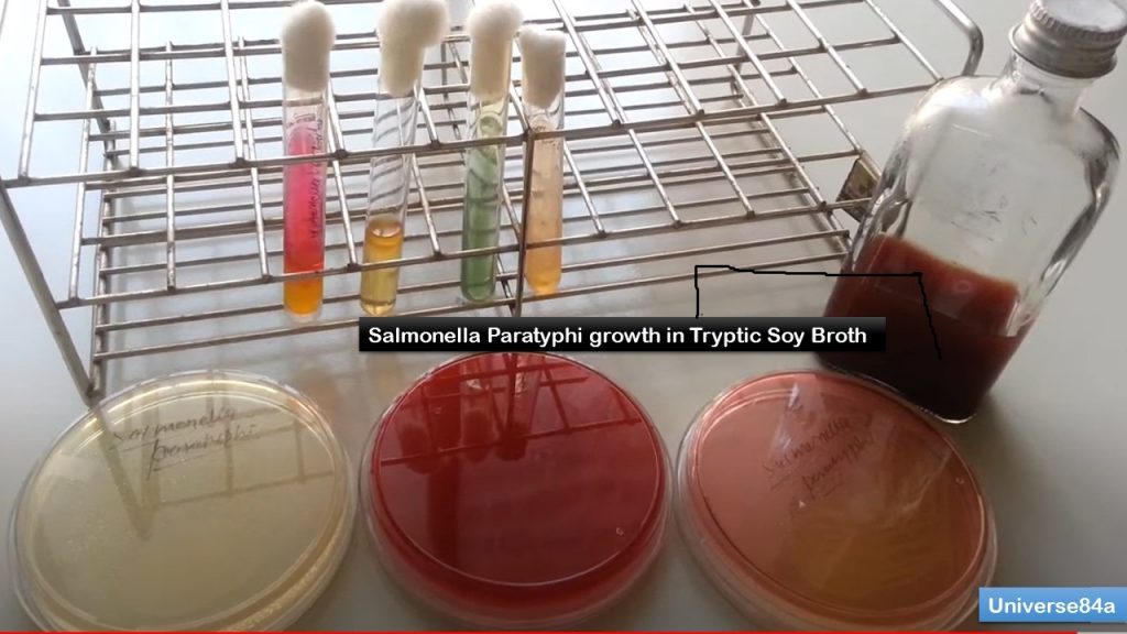 Tryptic Soy Broth Tsb Introduction Composition Principle Preparation Tryptic Soy Broth Tsb Introduction Composition Principle Preparation