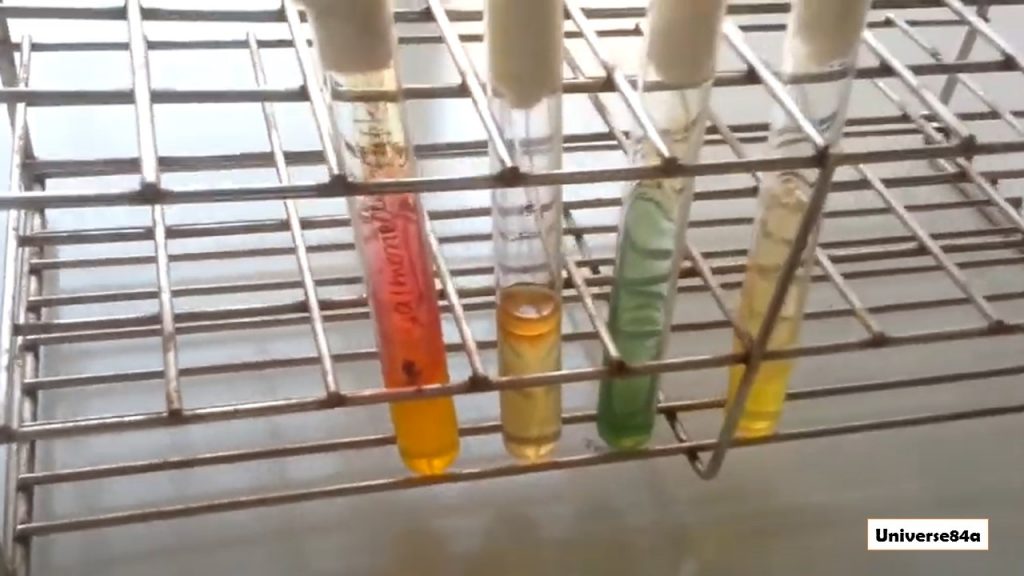 Salmonella Typhi isolated from Blood specimen from patient