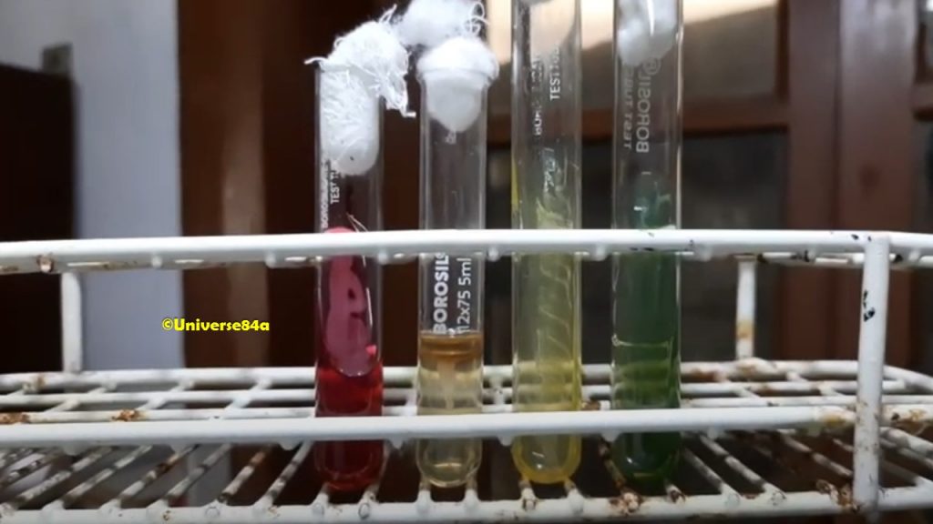Acinetobacter lwoffii Biochemical Tests Demonstrations