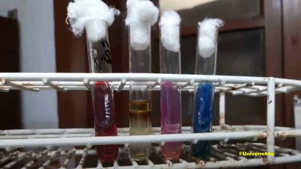 Biochemical tests of Pseudomonas aeruginosa Demonstration