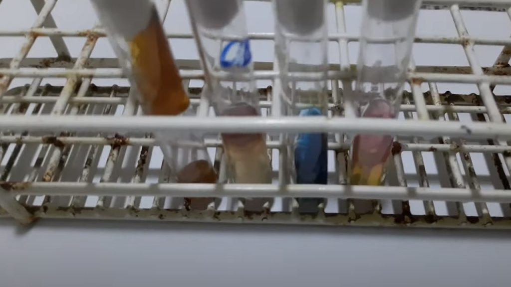 Citrobacter freundii Biochemical Tests