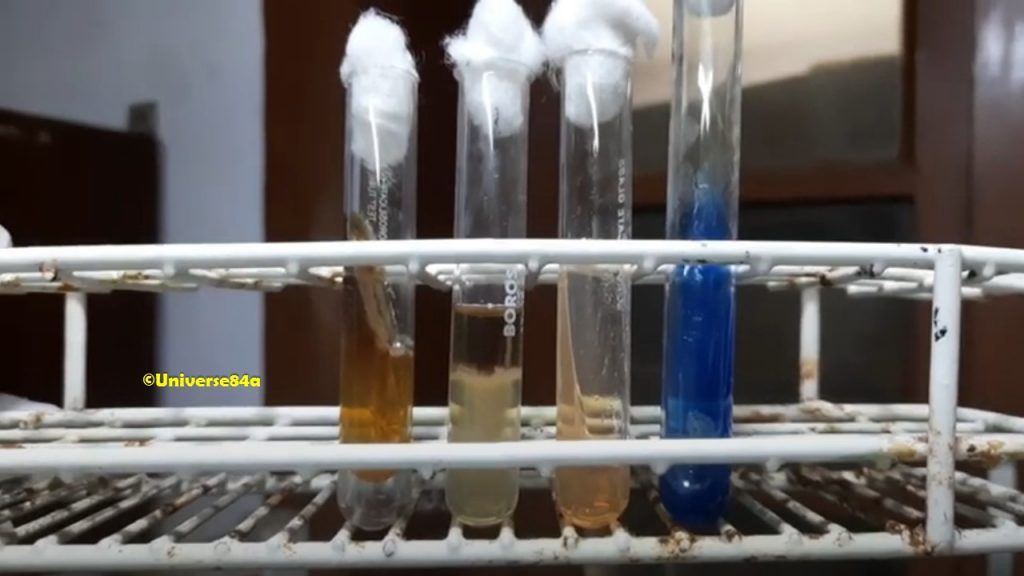  Enterobacter aerogenes Biochemical Assay