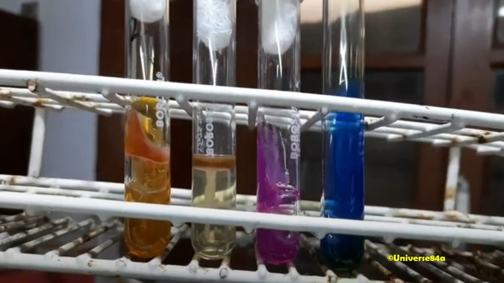 Klebsiella pneumoniae Biochemical Tests