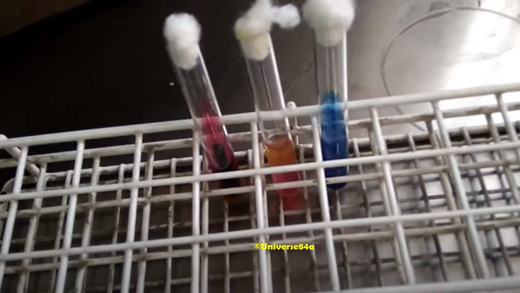 Proteus mirabilis Biochemical Tests