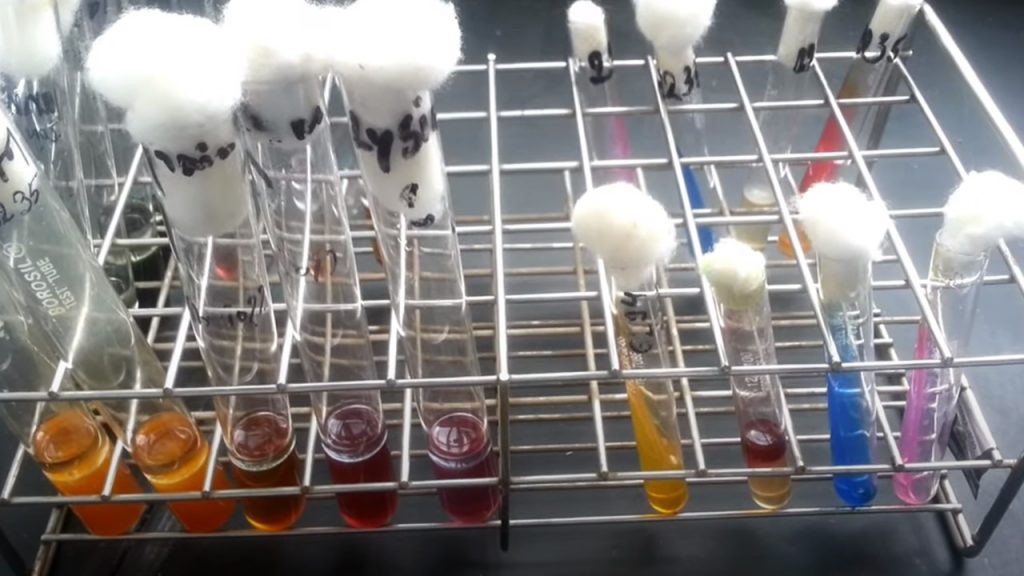 Vibrio cholerae biochemical tests