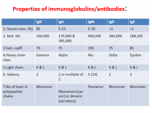 Properties of antibody