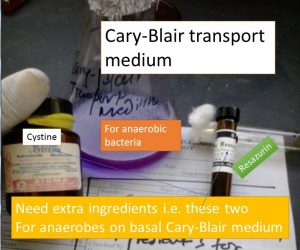 Cry-Blair Medium