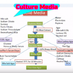 Culture Media flow chart