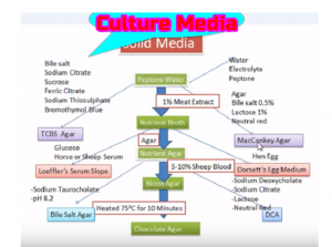 Culture Media flow chart