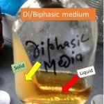 biphasic medium