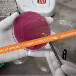 Code of practice to work in Microbiology Laboratory