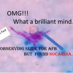 Nocardia in Z-N stain