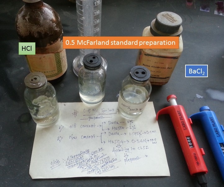 0.5 McFarland standard preparation