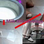 Milk Microbiology