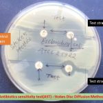 Stokes disc diffusion method