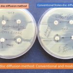 Stokes disc diffusion method conventional and modified