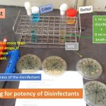 Testing potency of the disinfectants