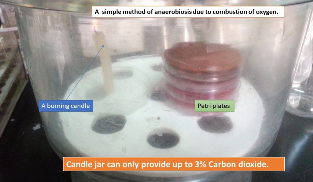 candle jar use for anarobiosis