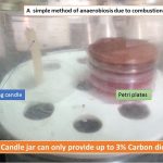 candle jar use for anarobiosis