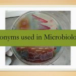 List of acronyms most commonly used in Microbiology