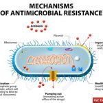 Antimicrobial Resistance