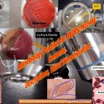 Microbiology Practical:The topic 'Microbiology Practical' is a complete solution package for both Bachelor of Science (B.Sc.) in Nursing and Bachelor of Nursing (B.N.). All the contents of this microbiology practical are with description as well as visual demonstration.