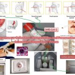 Viral Specimens- Collection, Transportation and Preservation for Laboratory Diagnosis of Viruses
