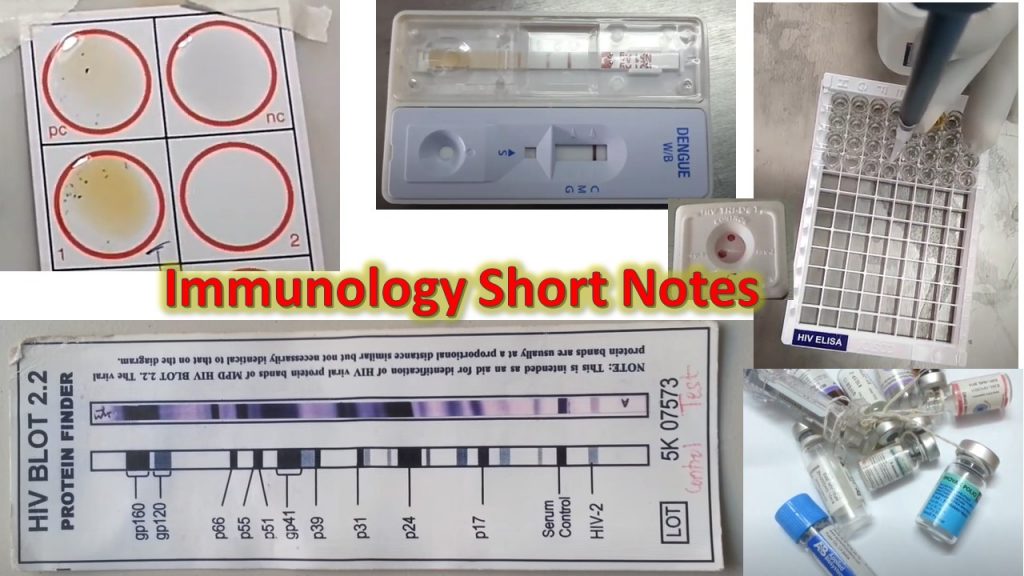Immunology Short Notes: Immunology Short Notes makes easier to understand  subject immunology as well as to secure good marks in exam for multiple choice questions (MCQs).