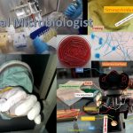M. Sc. Clinical Microbiology Curriculum Introduction, Contents, Major Subjects and Recommended Books