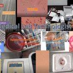 Medical Lab Technologist Post: Level, Examination Structure and Syllabus with Model Questions