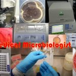 Medical Microbiologist Post in Public Service Commission-Level, Examination Structure and Syllabus