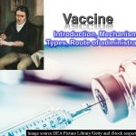 Vaccine: Vaccine is a substance that is introduced into the body to prevent the disease produced by certain pathogens. Vaccine consists of dead pathogens or subunits (purified protein subunits, polysaccharides) or live but attenuated (artificially weakened) organisms.