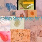Parasitology Short Notes for MCQs: Medical Lab Technician, Technologist and such Related Fields