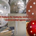 AST Pattern for Bacteria-Introduction, List of Antimicrobial agents and Uses