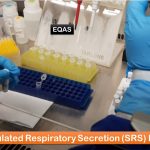 Simulated Respiratory Secretion (SRS)- Introduction, Application, Advantage and Disadvantage
