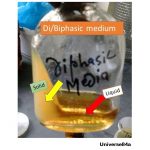 Diphasic Medium in Microbiology: Use, Composition and Advantage