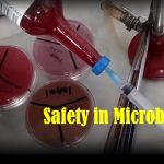 Safety in Microbiology: Introduction, Route of Infection, Risk group of Organisms, Biosafety Cabinet and Keynotes