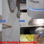 Stool Routine Examination: Introduction, Techniques, Testing Requirements, Features of Common Parasites