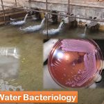 Water Bacteriology: Introduction, Testing Methods, Test Requirements, Test Procedure, Result Interpretation and Keynotes