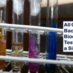 Bacterial Biochemical Tests: Introduction, List of Tests, Text Link and Visual Links