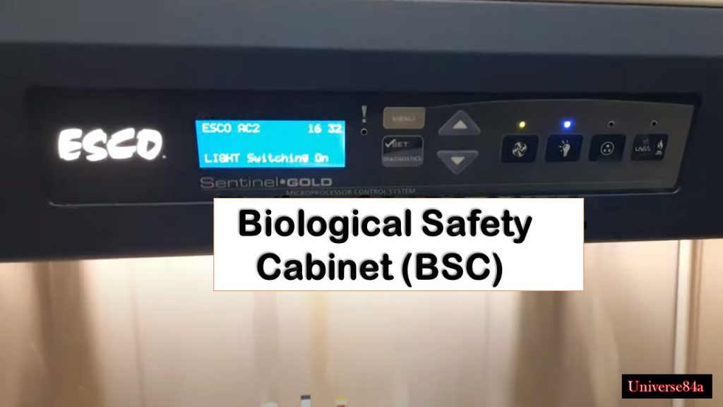 Biosafety Cabinet (BSC): Introduction, Types, Handling Procedure
