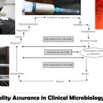 Quality Assurance in Clinical Microbiology: Introduction, Types Quality Assurance, Objectives and Commonly Used Quality Control