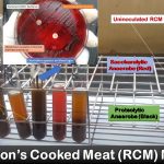 Anaerobic Bacteria Cultivation: Introduction, Principle, Procedure and Result Interpretation