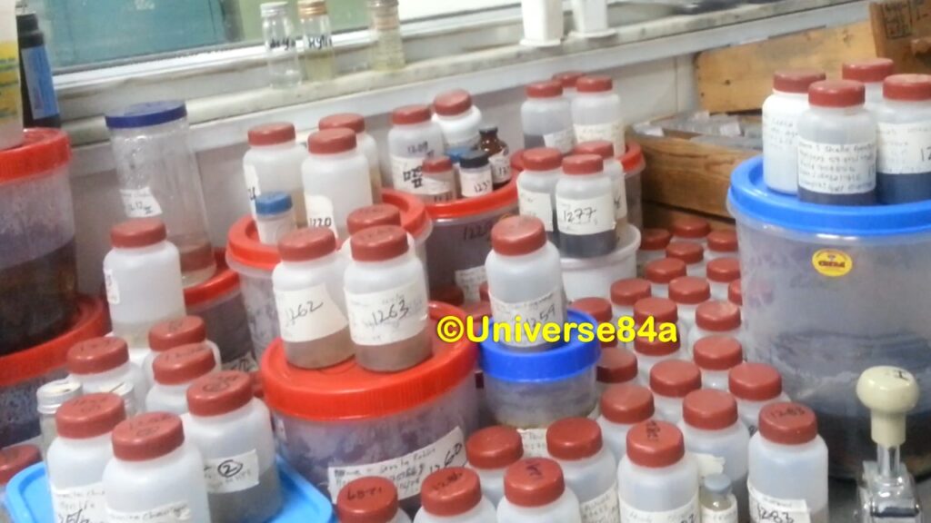 Biopsy Tissue Categories: Introduction, Types