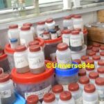 Biopsy Tissue Categories: Introduction, Types