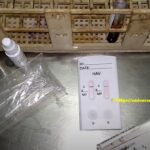 Hepatitis A Virus (HAV) Rapid IgM and IgG Test: Introduction, Principle, Procedure, Result Interpretation, Limitations and Keynotes